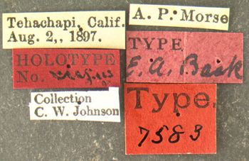 Media type: image;   Entomology 7583 Aspect: labels